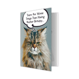 Cat Birthday Card - There are worse things than....