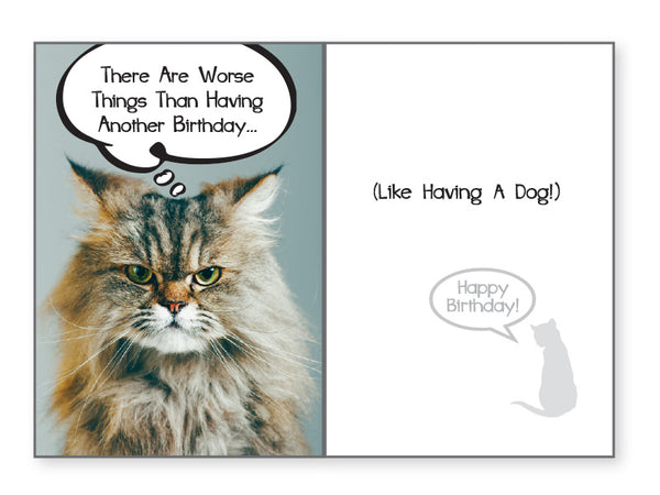 Cat Birthday Card - There are worse things than...
