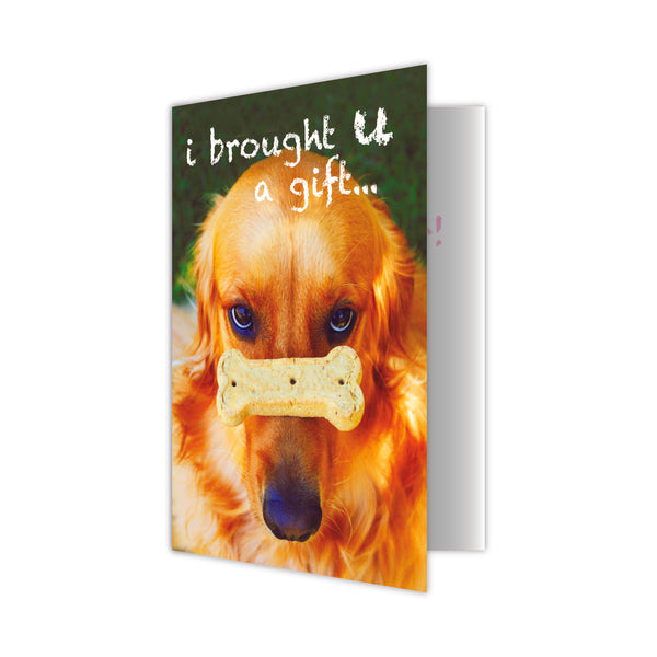 Pet Sitter Thank You Card - I brought U a gift...