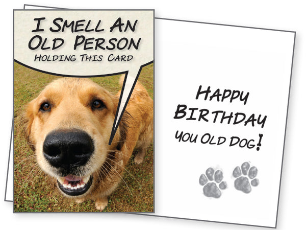 Birthday Card - I Smell an Old Person